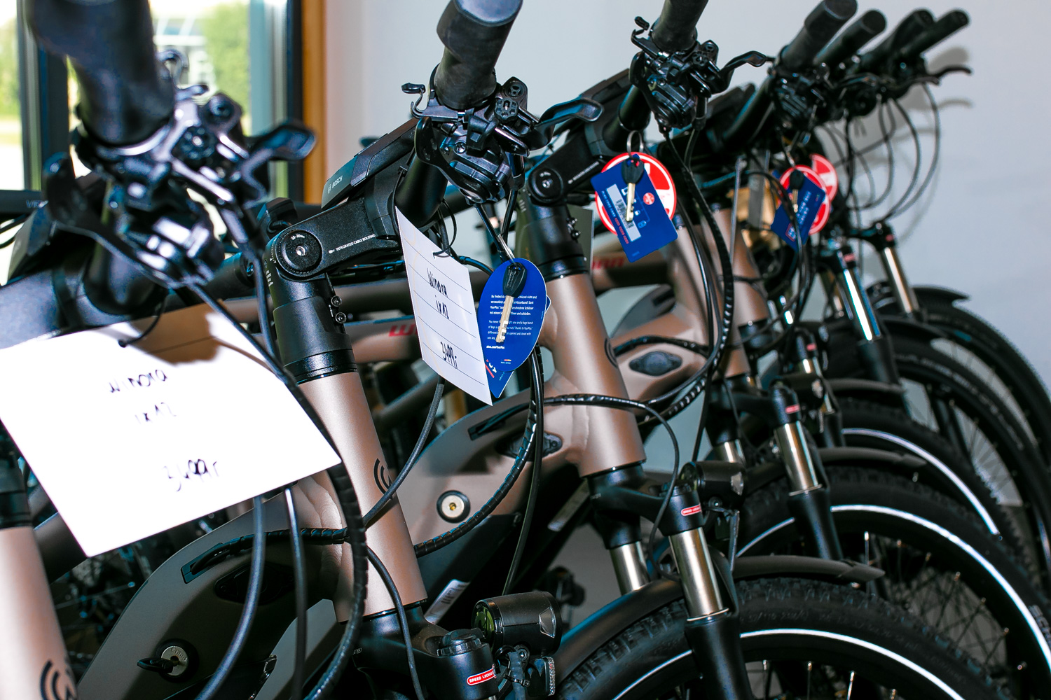 Egger Radl eBikes, Mountainbikes, Roadbikes