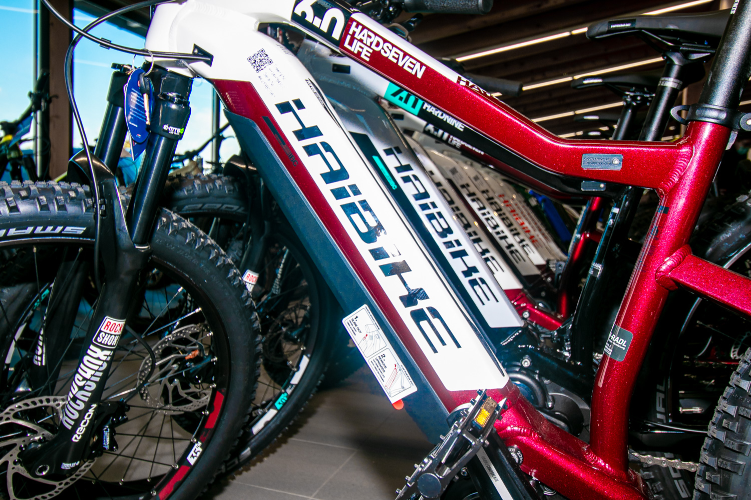 Egger Radl eBikes, Mountainbikes, Roadbikes